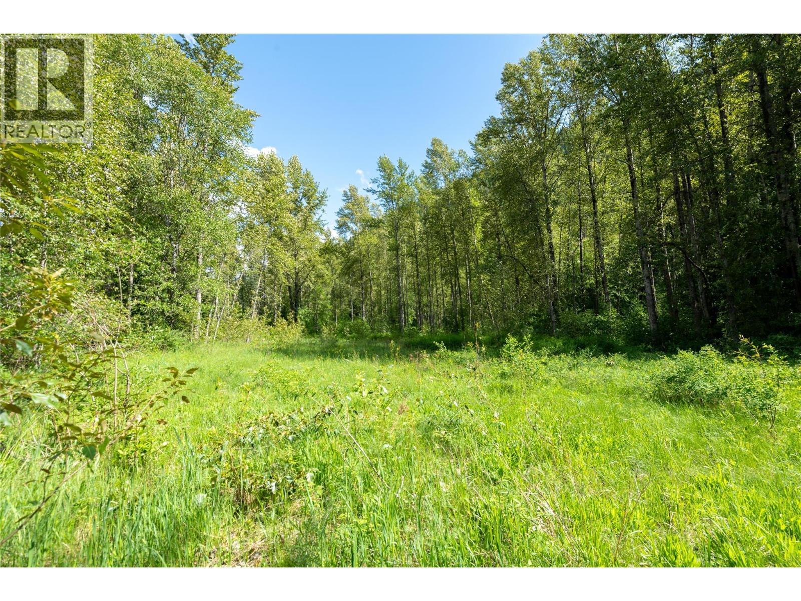Airport Road Lot# 38, Salmo, British Columbia  V0G 1Z0 - Photo 11 - 10391609