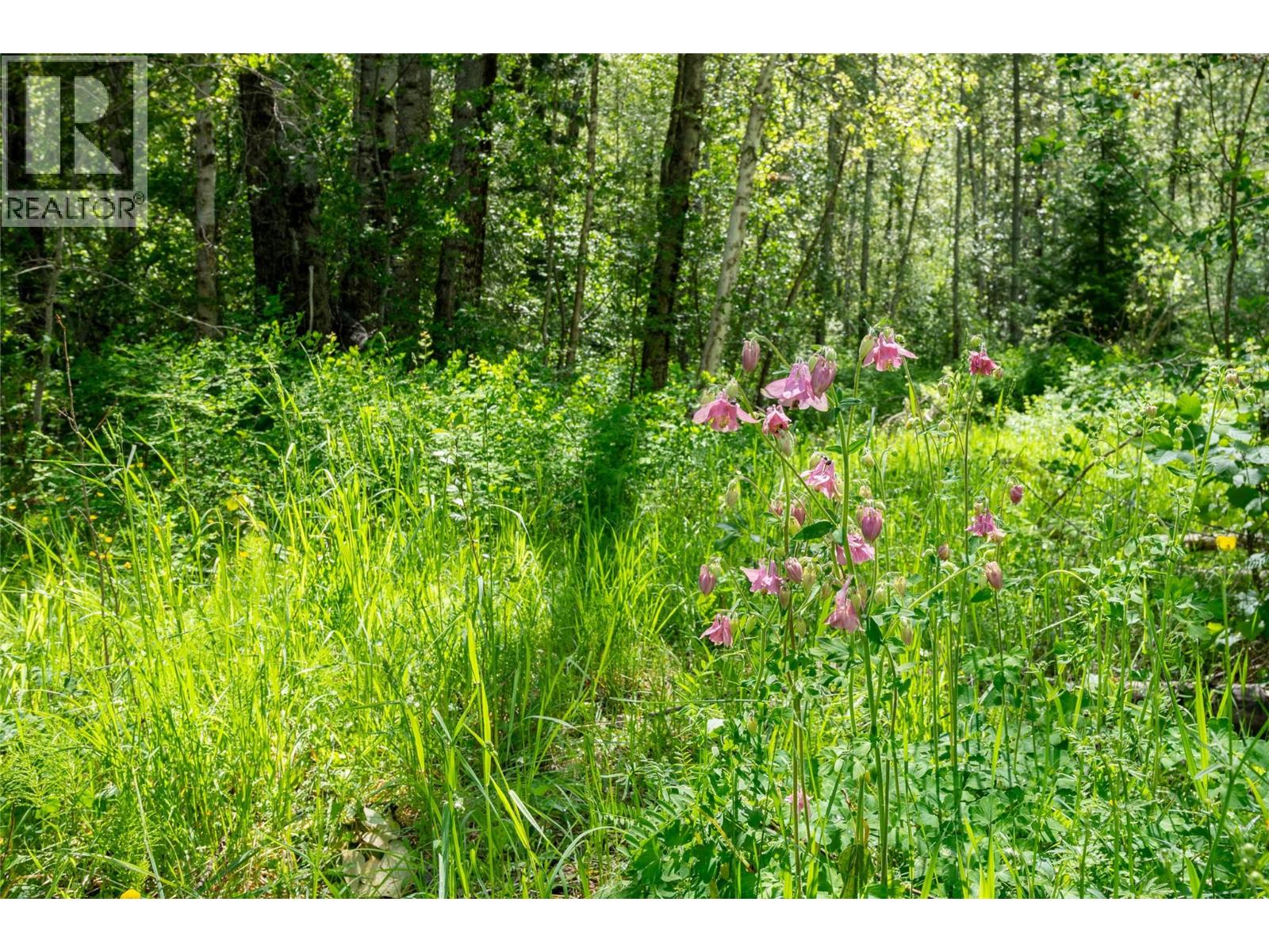 Airport Road Lot# 38, Salmo, British Columbia  V0G 1Z0 - Photo 13 - 10391609