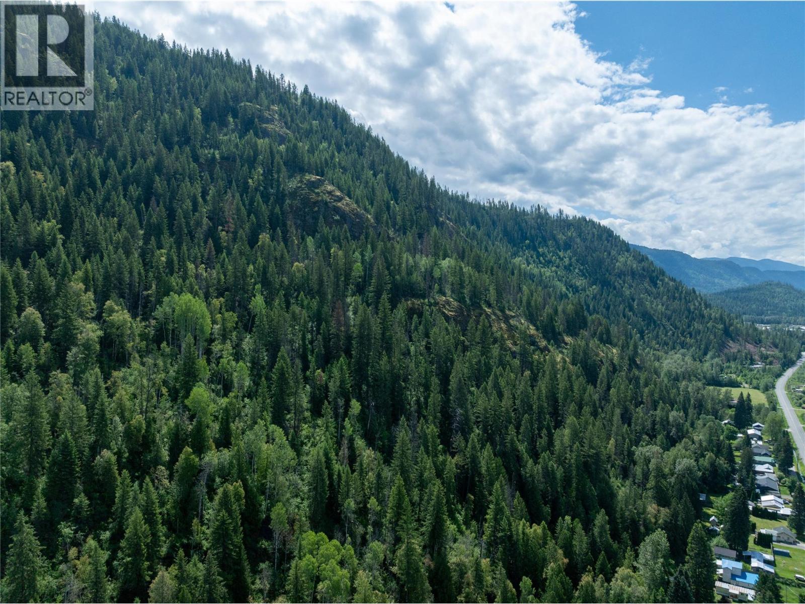 Airport Road Lot# 38, Salmo, British Columbia  V0G 1Z0 - Photo 2 - 10391609