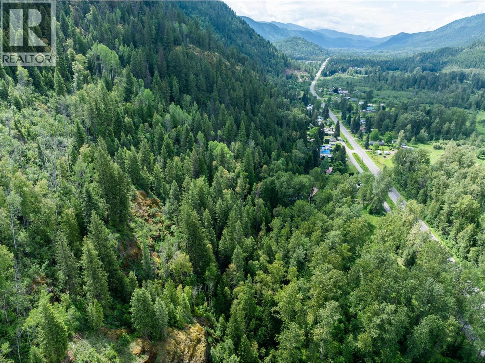 Airport Road Lot# 38, Salmo, British Columbia  V0G 1Z0 - Photo 4 - 10391609