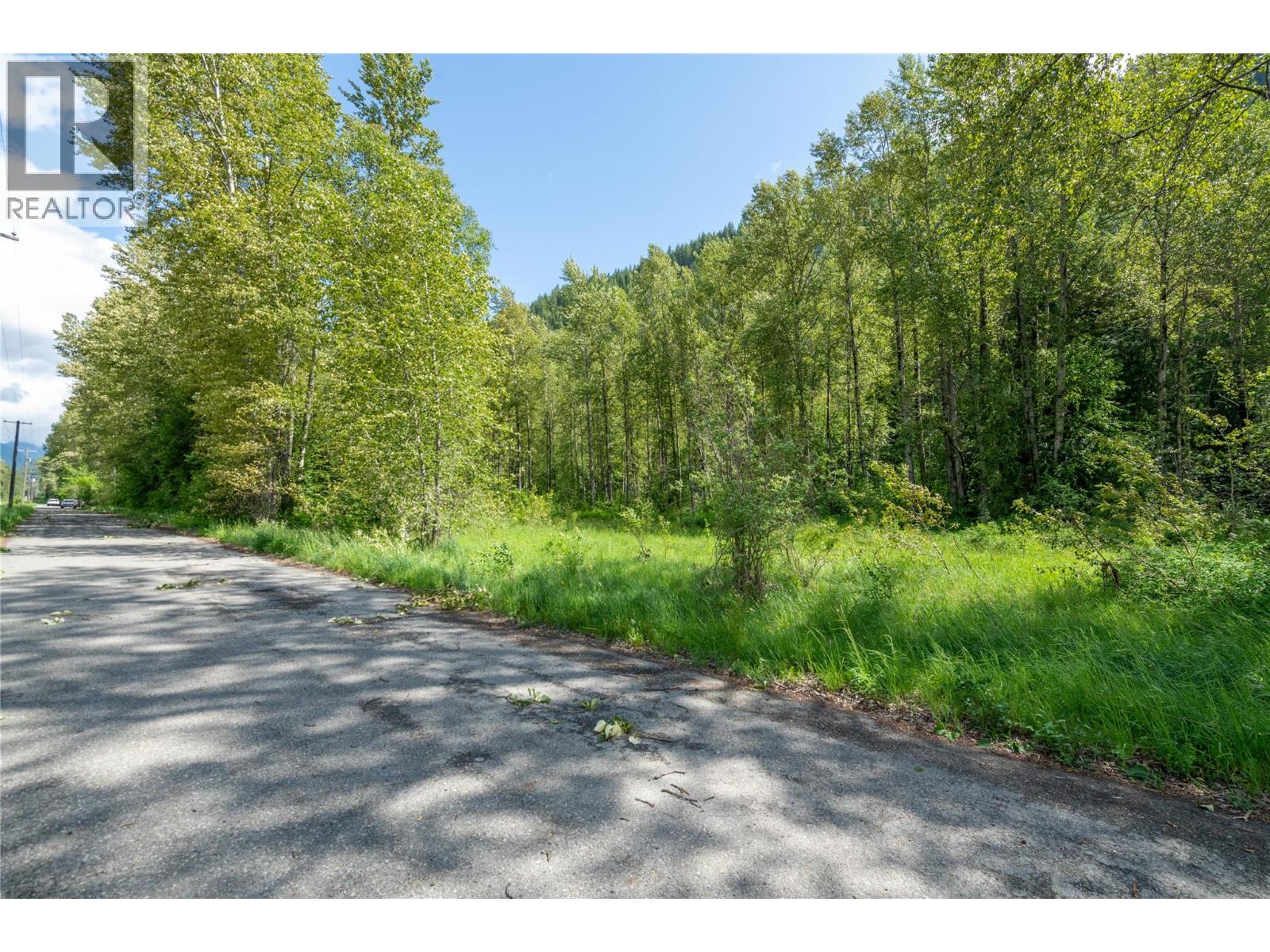 Airport Road Lot# 38, Salmo, British Columbia  V0G 1Z0 - Photo 9 - 10391609