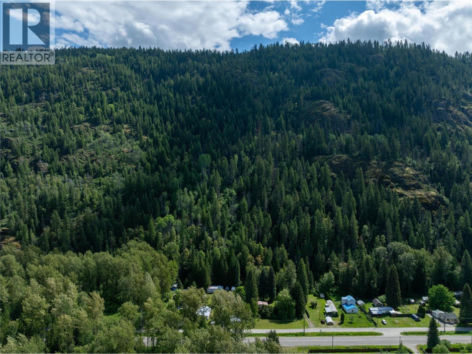 Airport Road Lot# 38, Salmo, British Columbia  V0G 1Z0 - Photo 5 - 10391609