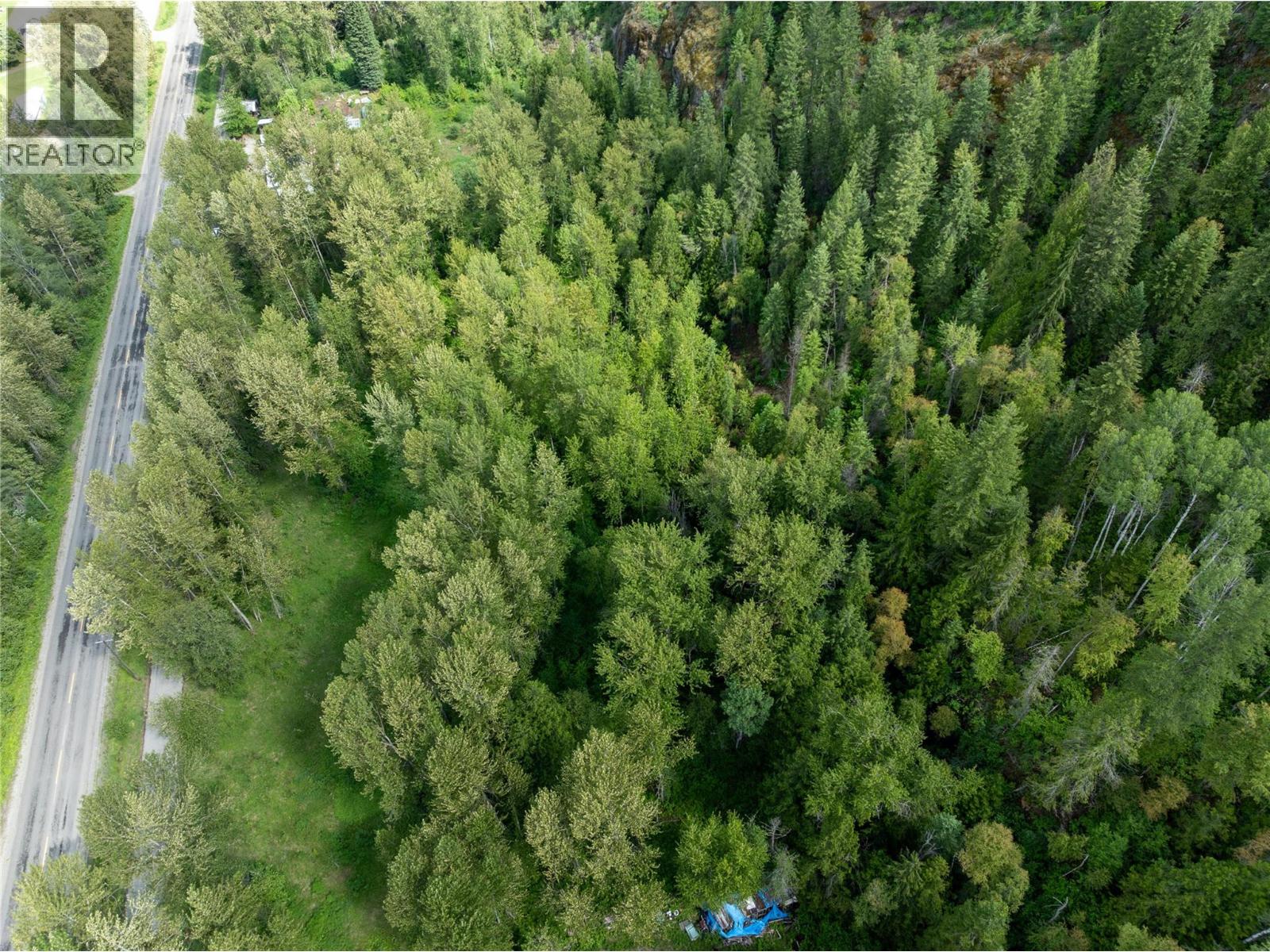 Airport Road Lot# 38, Salmo, British Columbia  V0G 1Z0 - Photo 7 - 10391609