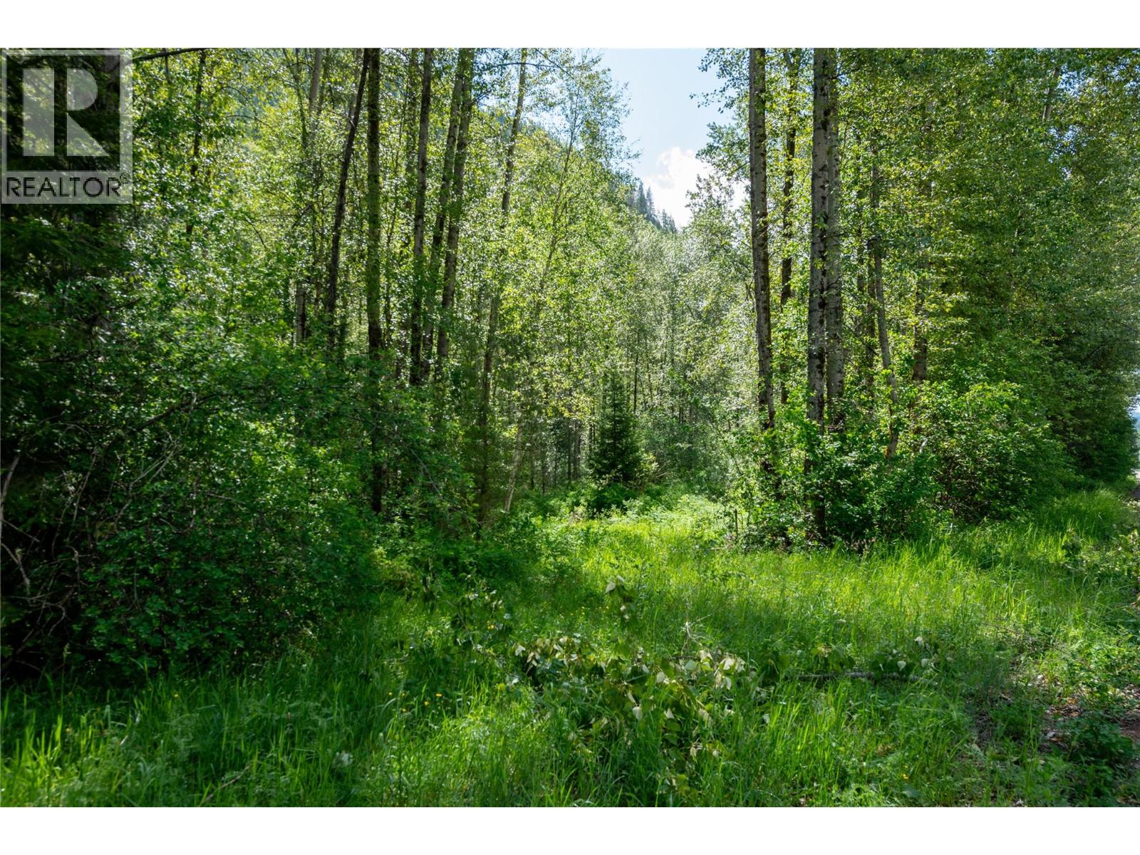 Airport Road Lot# 38, Salmo, British Columbia  V0G 1Z0 - Photo 14 - 10391609