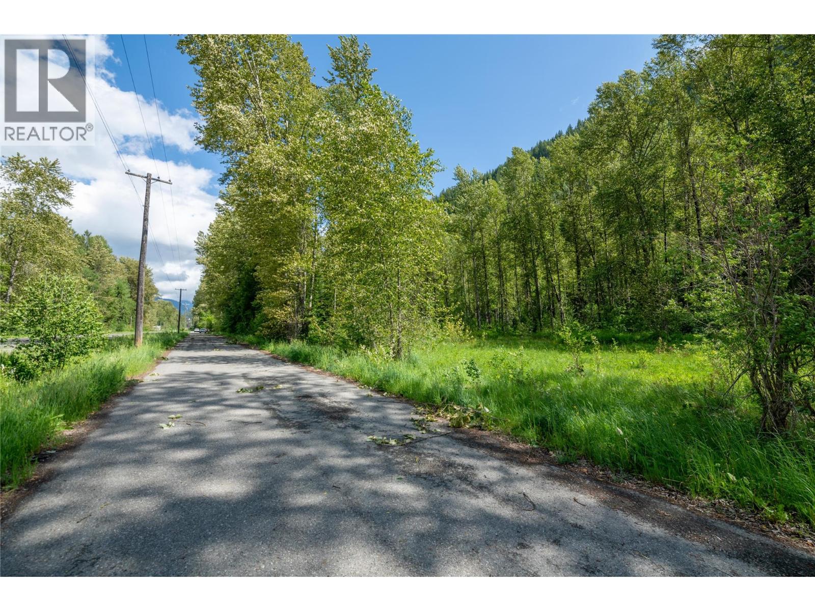 Airport Road Lot# 38, Salmo, British Columbia  V0G 1Z0 - Photo 8 - 10391609