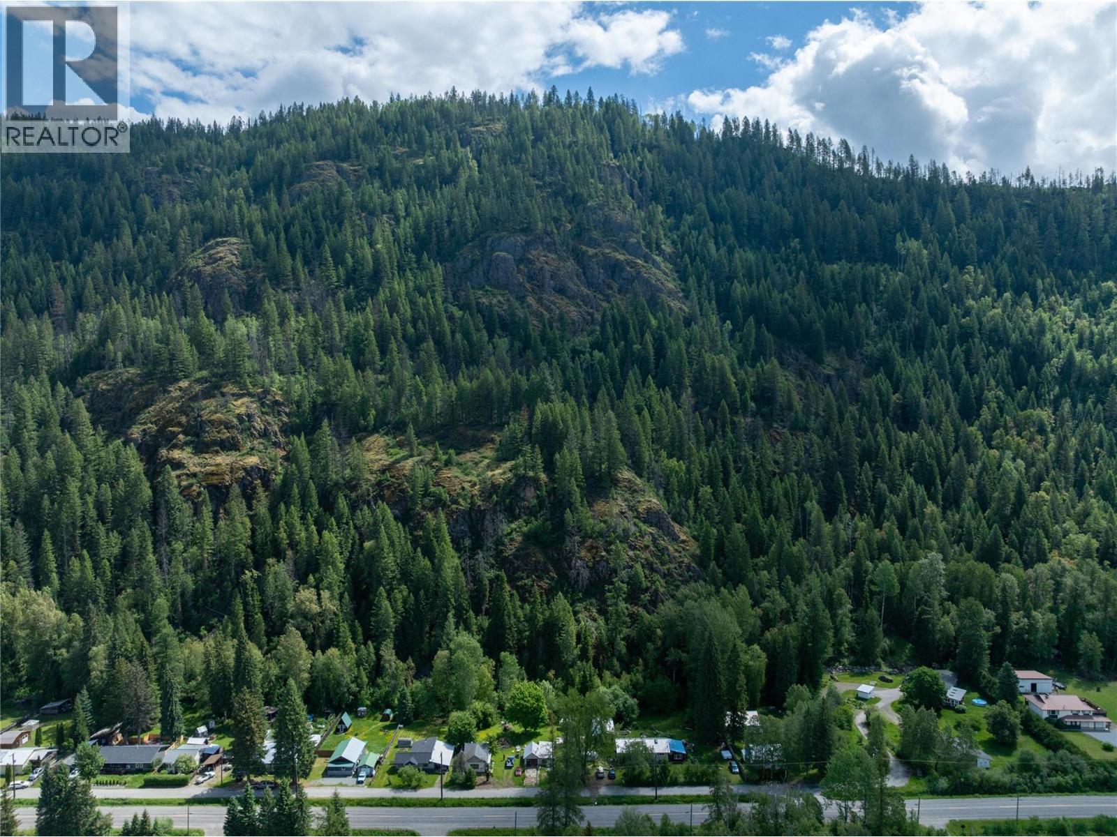 Airport Road Lot# 38, Salmo, British Columbia  V0G 1Z0 - Photo 6 - 10391609