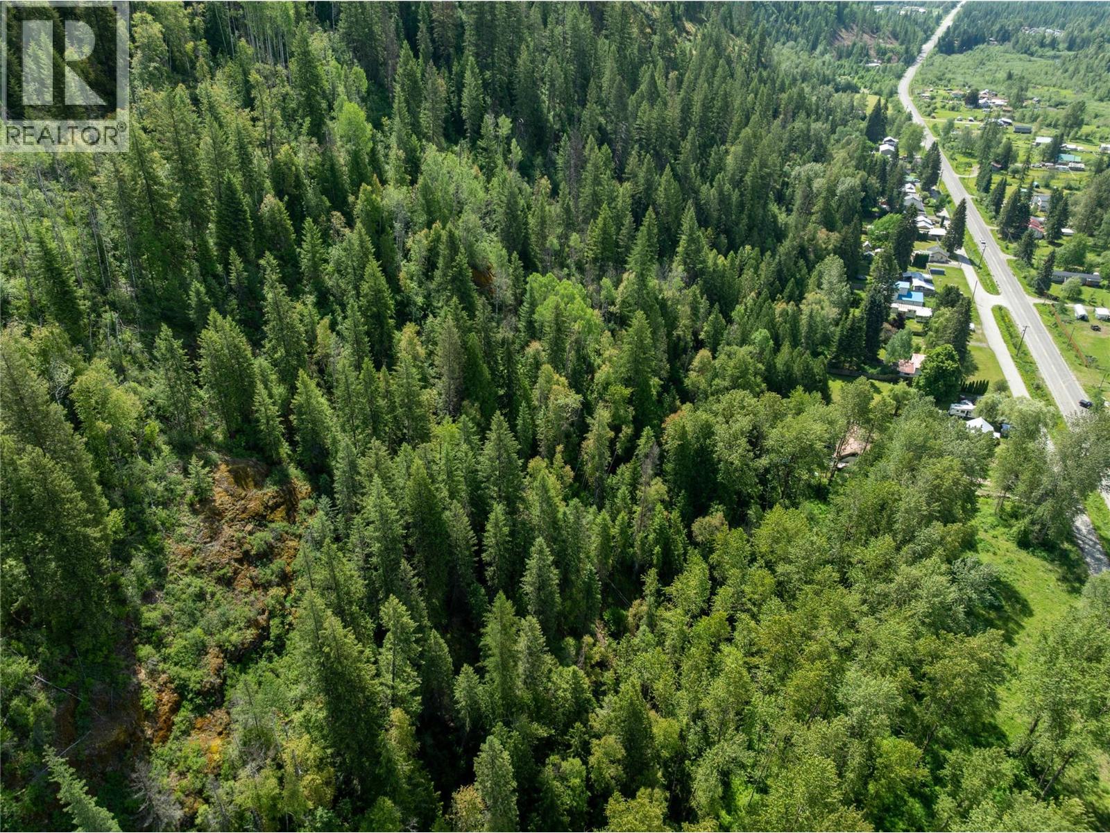 Airport Road Lot# 38, Salmo, British Columbia  V0G 1Z0 - Photo 3 - 10391609