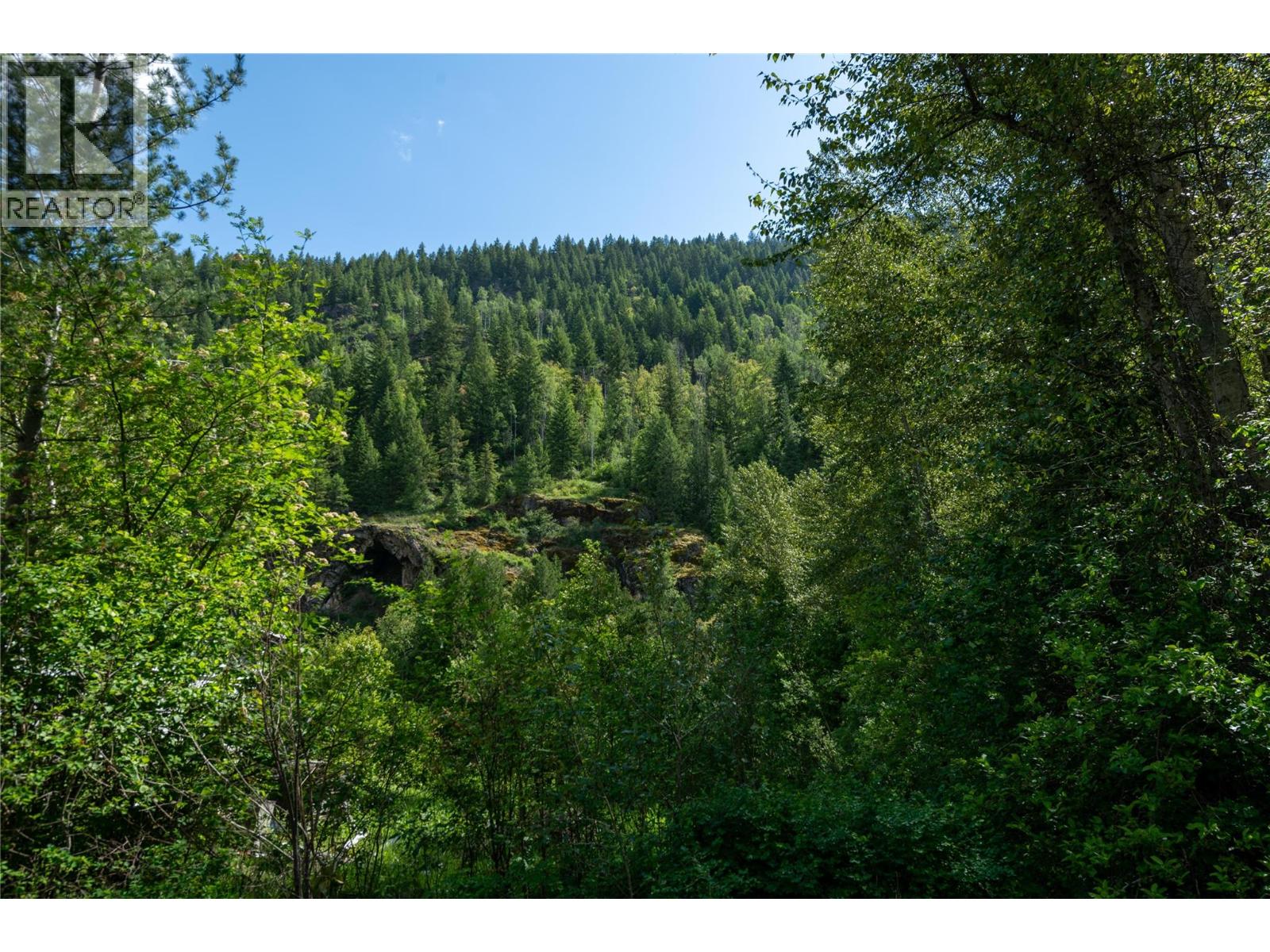 Airport Road Lot# 38, Salmo, British Columbia  V0G 1Z0 - Photo 15 - 10391609