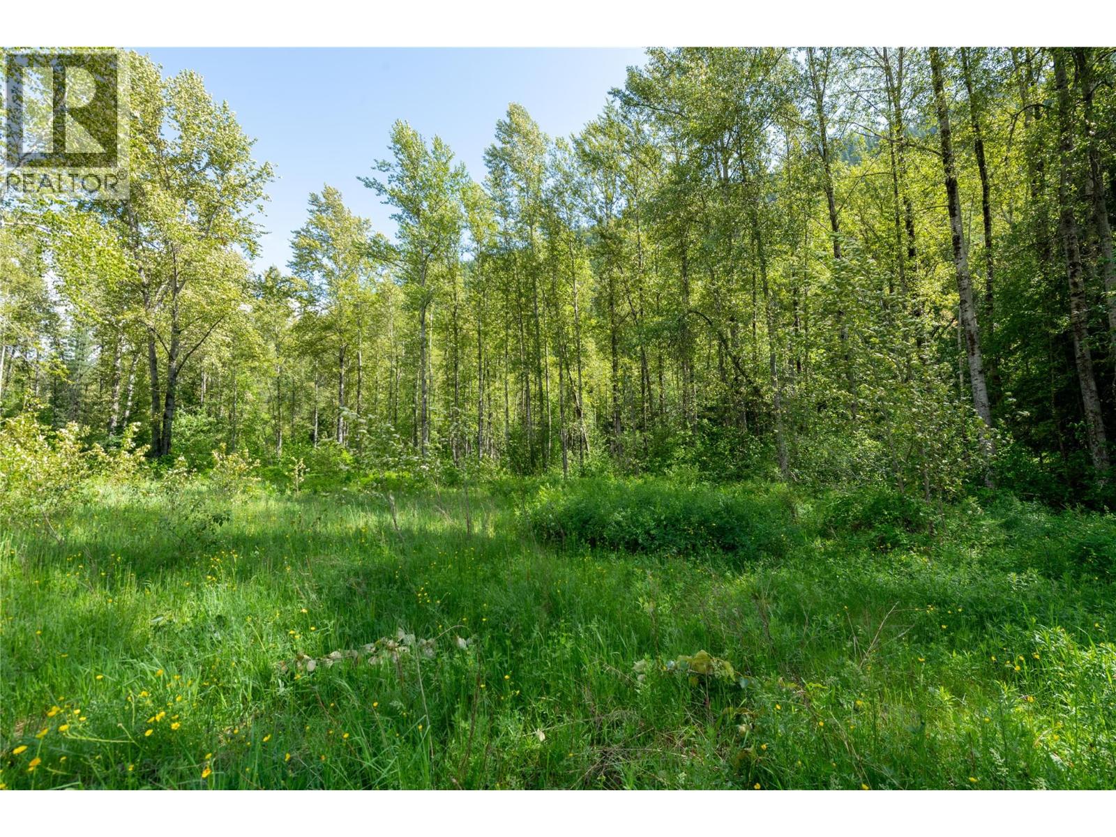 Airport Road Lot# 38, Salmo, British Columbia  V0G 1Z0 - Photo 12 - 10391609