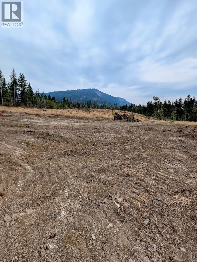 3311 Colton Road, Tappen, British Columbia  V0E 2X1 - Photo 12 - 10395998