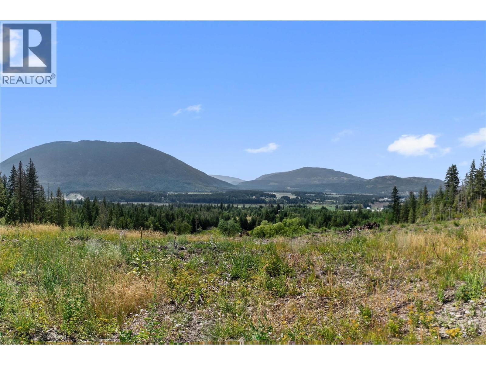 3311 Colton Road, Tappen, British Columbia  V0E 2X1 - Photo 8 - 10395998