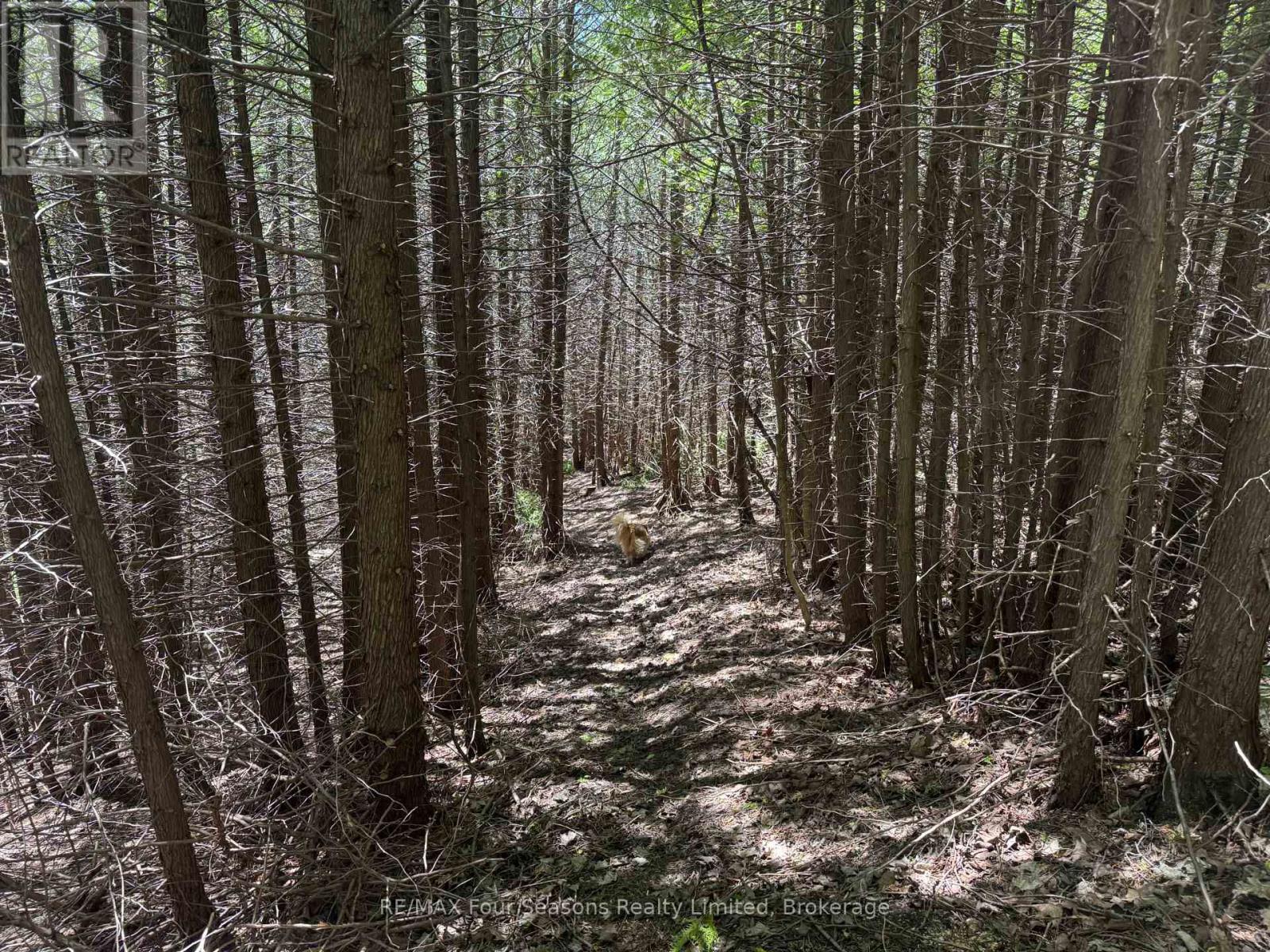 Pt Lt 12 Part 1 18 Grey Road, Meaford, Ontario  N4L 1W5 - Photo 13 - X13217704