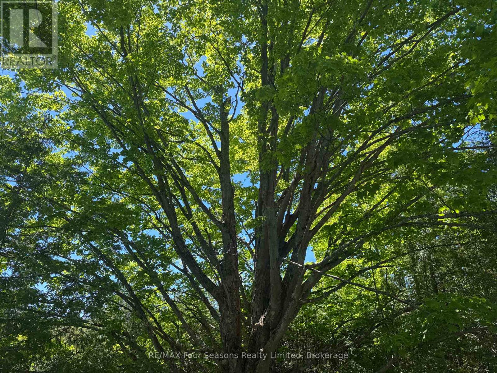 Pt Lt 12 Part 1 18 Grey Road, Meaford, Ontario  N4L 1W5 - Photo 10 - X13217704