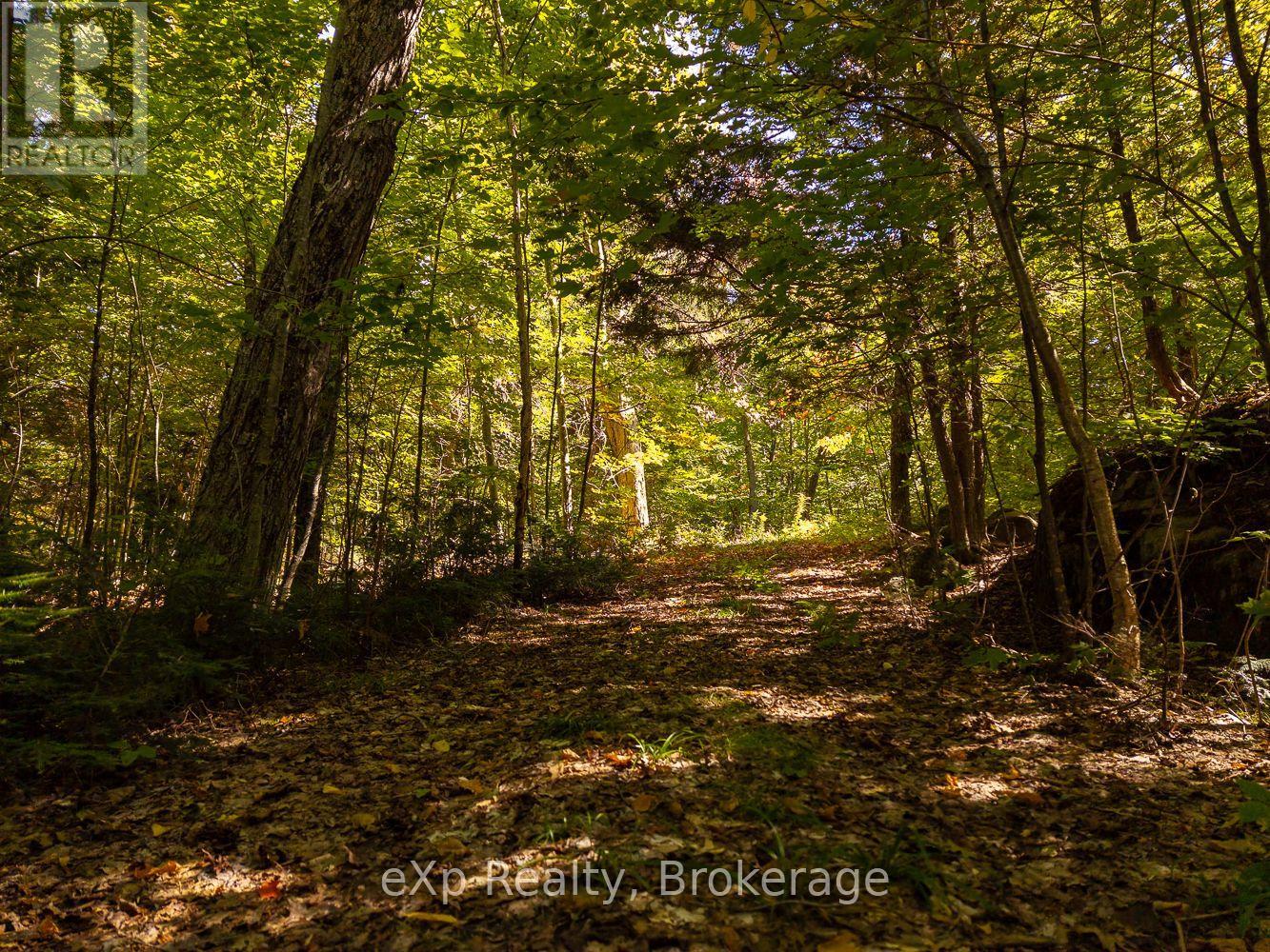 4 Fire Route 140 (Turtle Lane) Lane, Mckellar, Ontario  P0G 1C0 - Photo 24 - X12715532