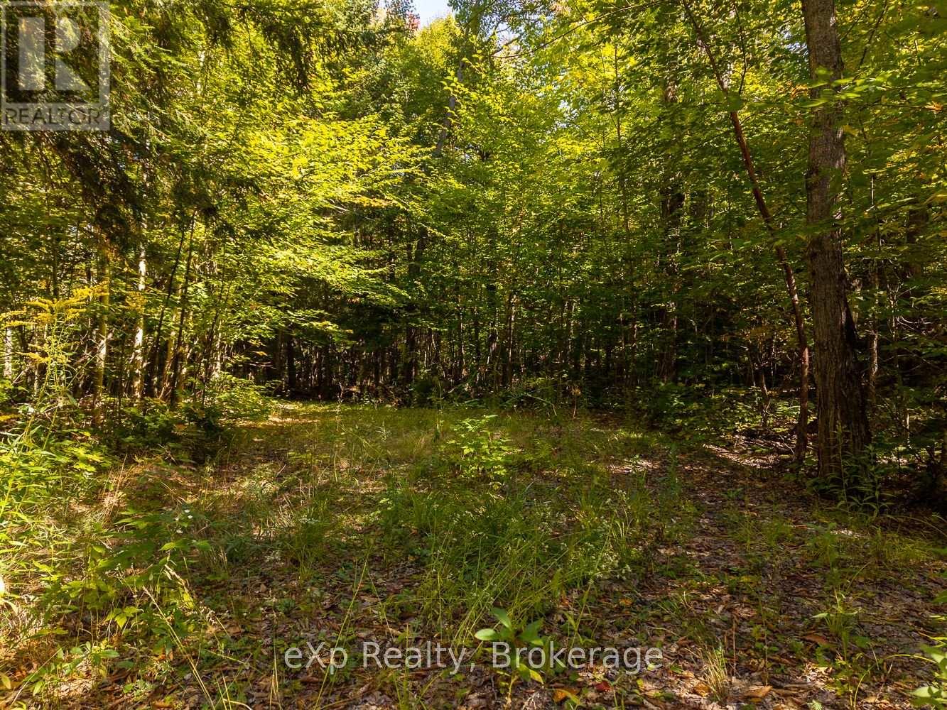 4 Fire Route 140 (Turtle Lane) Lane, Mckellar, Ontario  P0G 1C0 - Photo 36 - X12715532