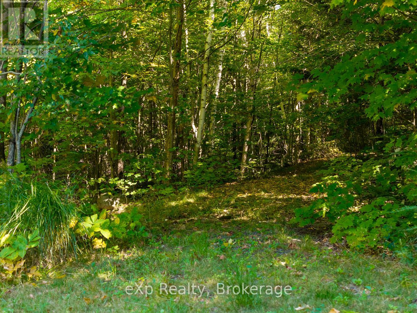 4 Fire Route 140 (Turtle Lane) Lane, Mckellar, Ontario  P0G 1C0 - Photo 38 - X12715532