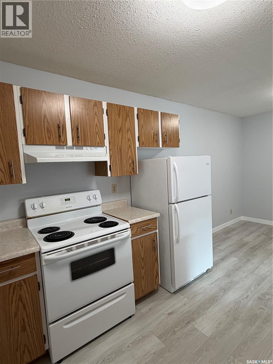 376 Cedar Meadow Drive, Regina, Saskatchewan  S4X 3J5 - Photo 9 - SK042811