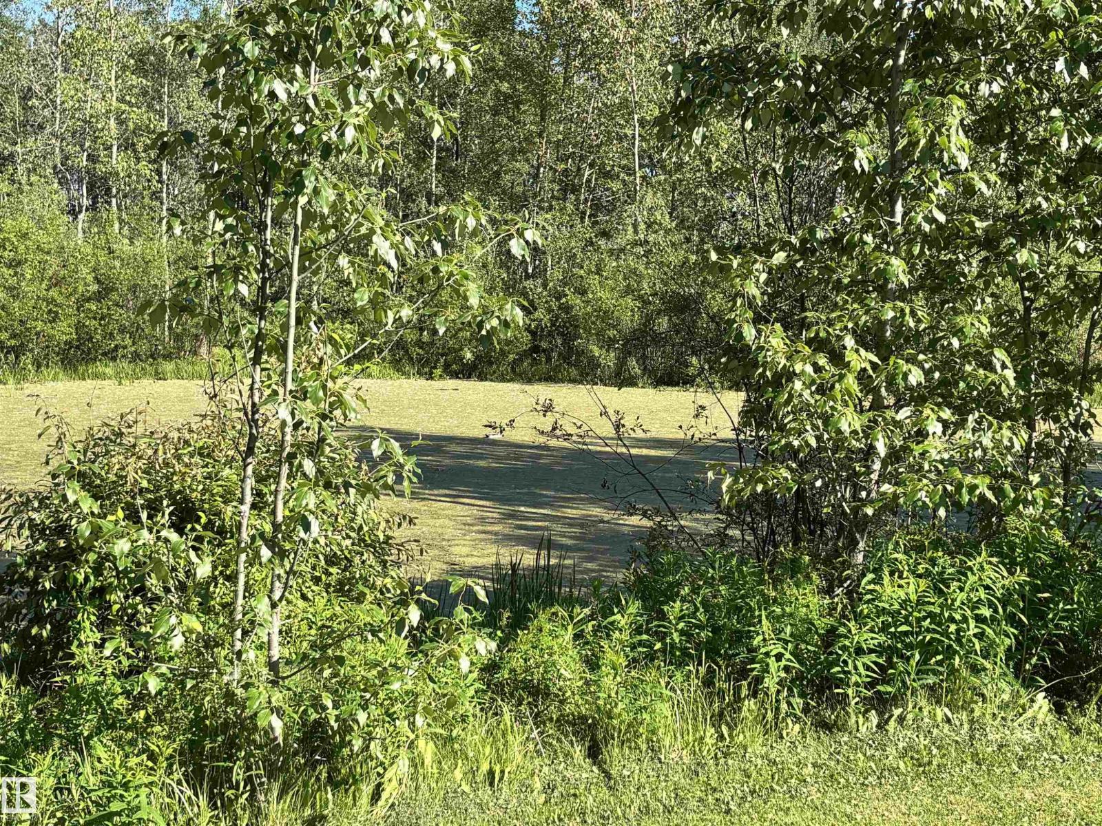 picture 37