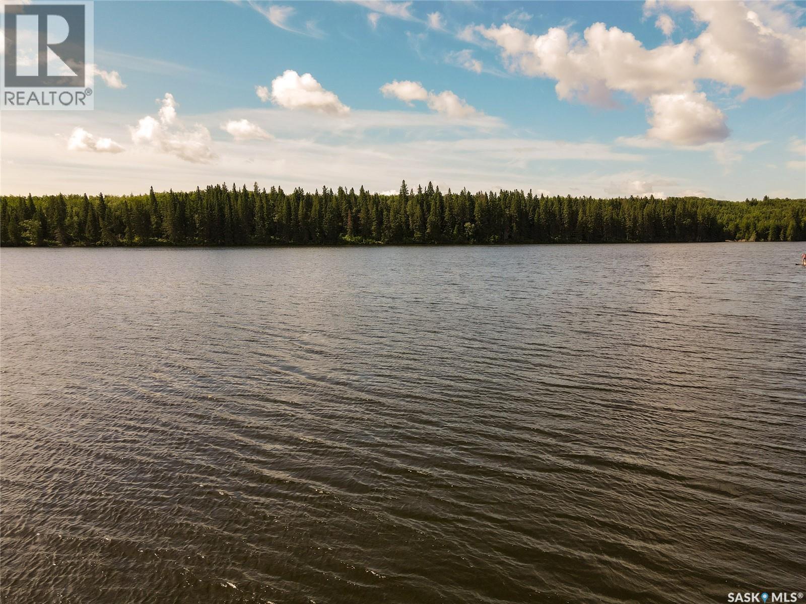 Sturgeon Lakefront Cabin, Sturgeon Lake, Saskatchewan  S0J 2E0 - Photo 6 - SK045419