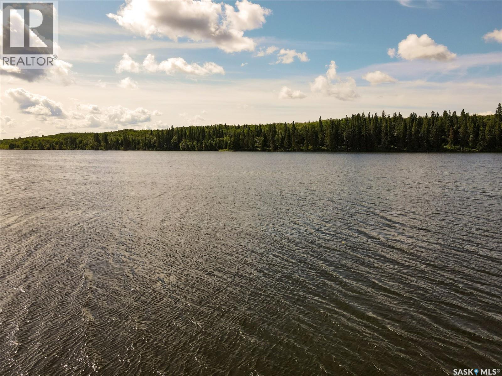 Sturgeon Lakefront Cabin, Sturgeon Lake, Saskatchewan  S0J 2E0 - Photo 7 - SK045419