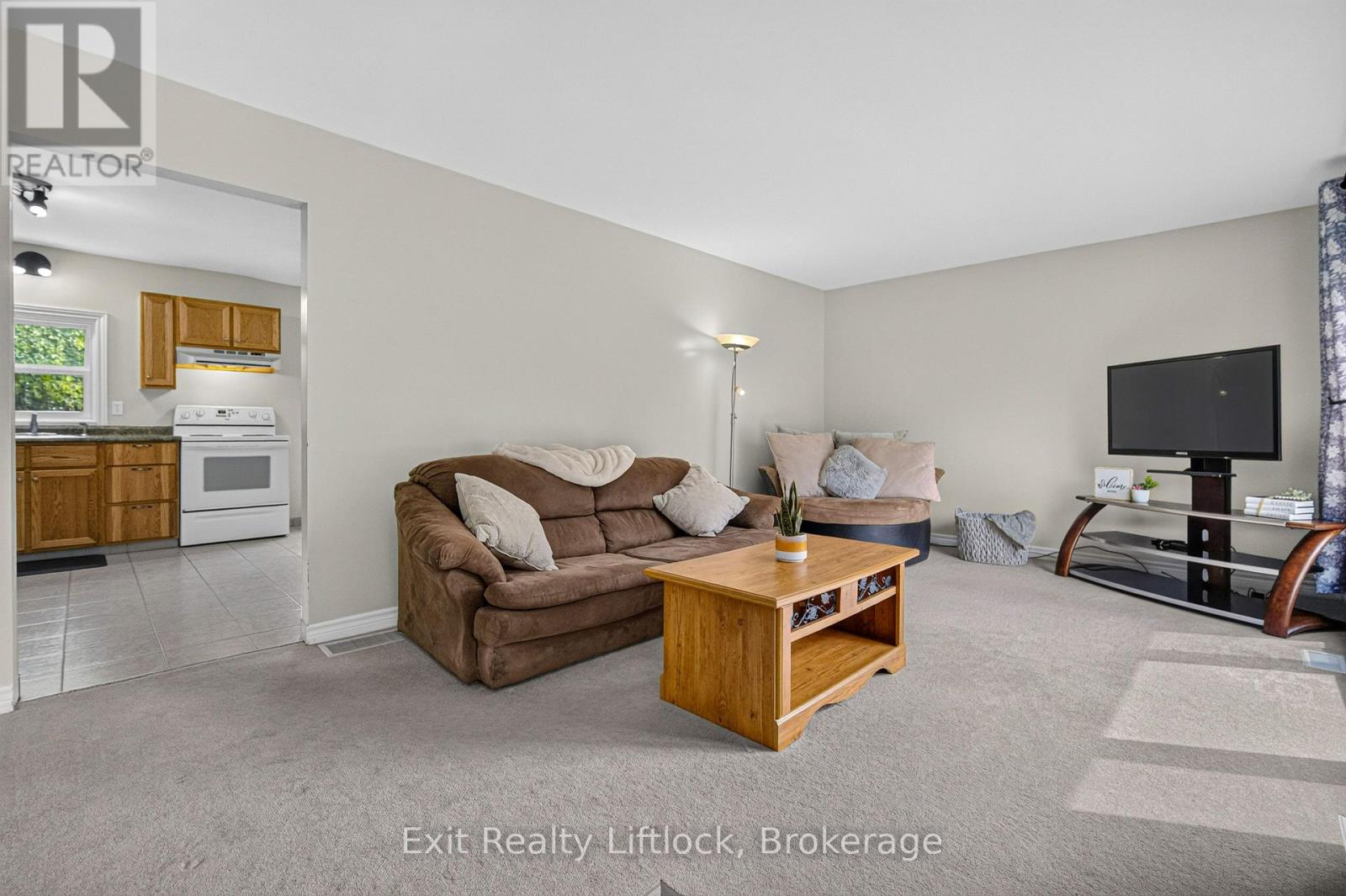 24 King Street W, Havelock-Belmont-Methuen, Ontario  K0L 1Z0 - Photo 6 - X13669290