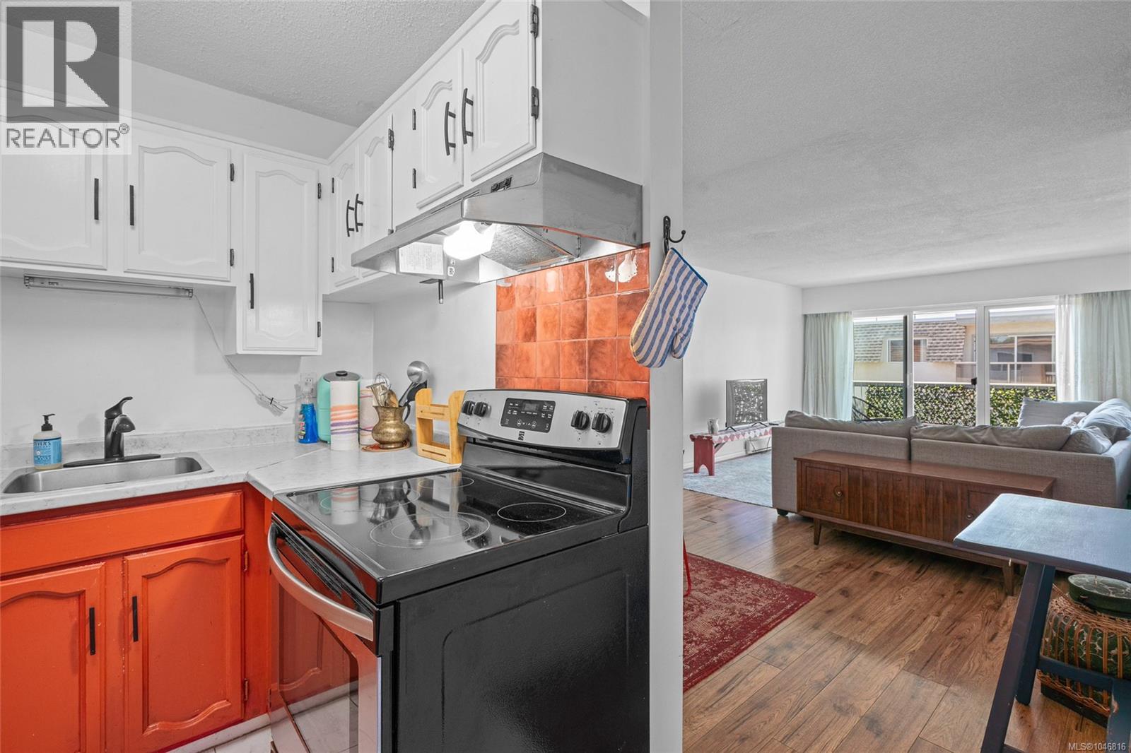 203 1116 Queens Ave, Victoria, British Columbia  V8T 1M9 - Photo 12 - 1046816