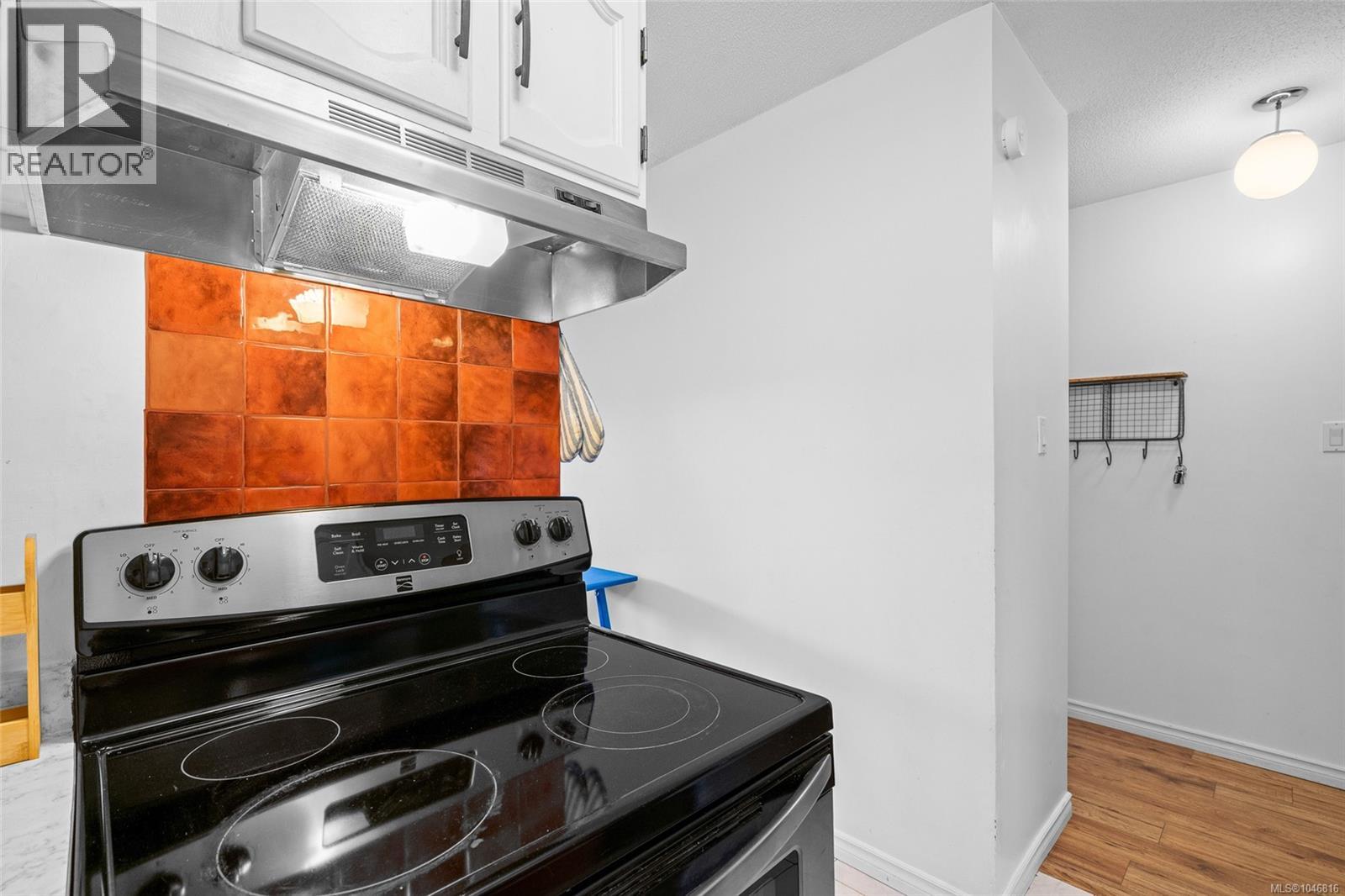 203 1116 Queens Ave, Victoria, British Columbia  V8T 1M9 - Photo 15 - 1046816