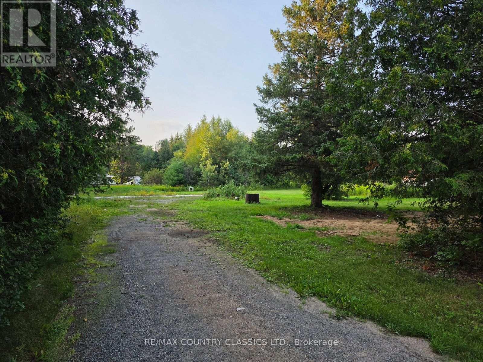 92 Paudash School Road, Faraday, Ontario  K0L 1C0 - Photo 11 - X13658896