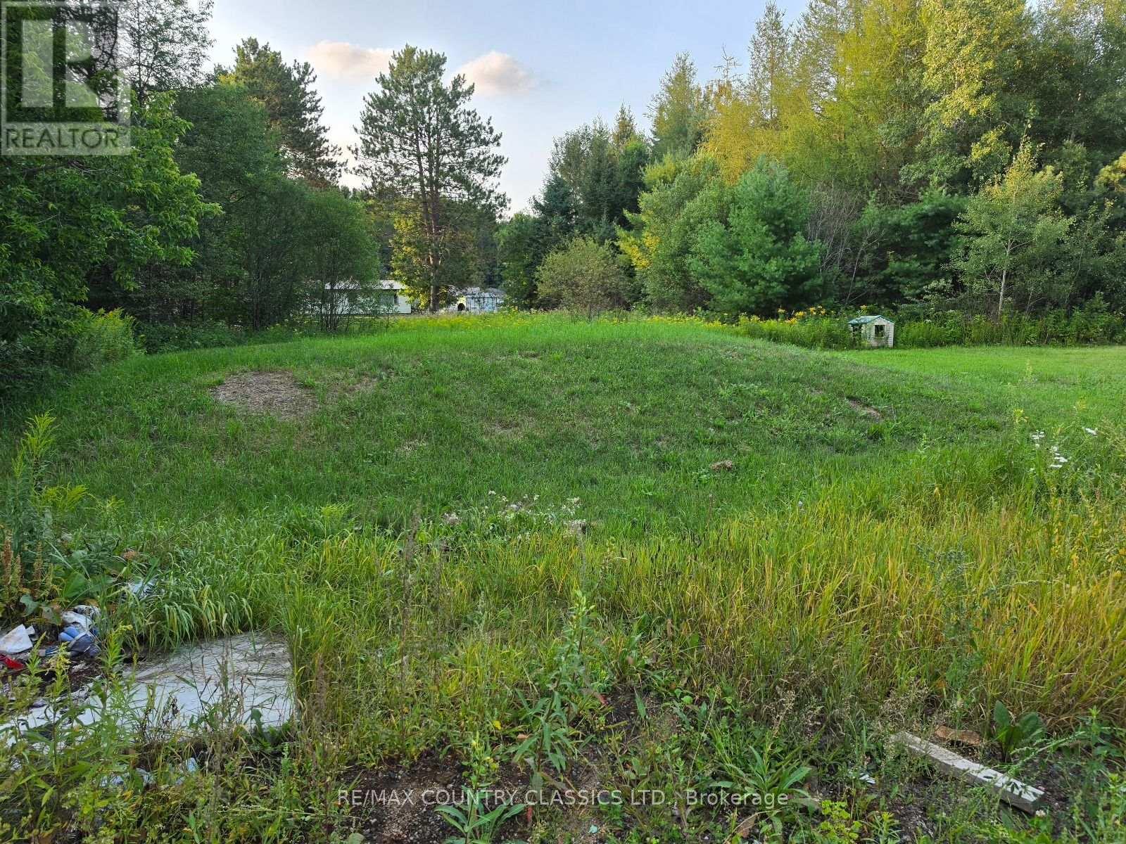 92 Paudash School Road, Faraday, Ontario  K0L 1C0 - Photo 10 - X13658896