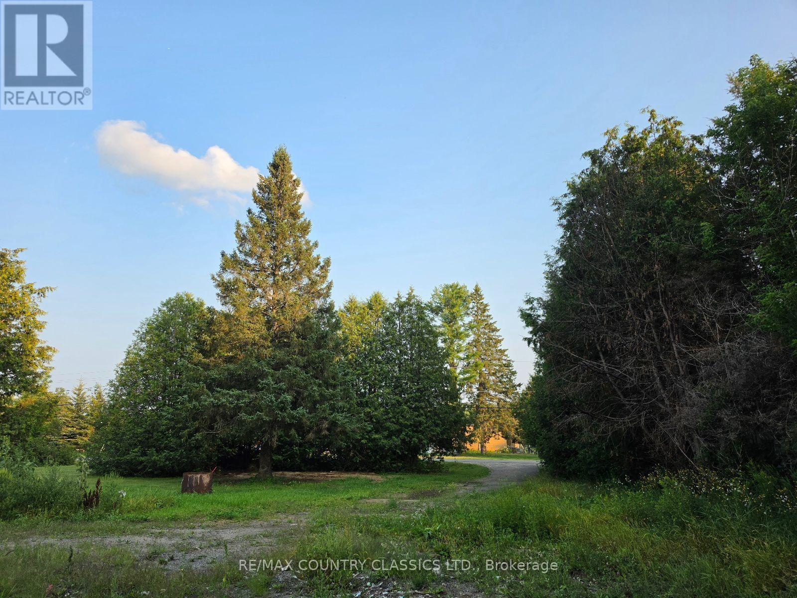 92 Paudash School Road, Faraday, Ontario  K0L 1C0 - Photo 9 - X13658896