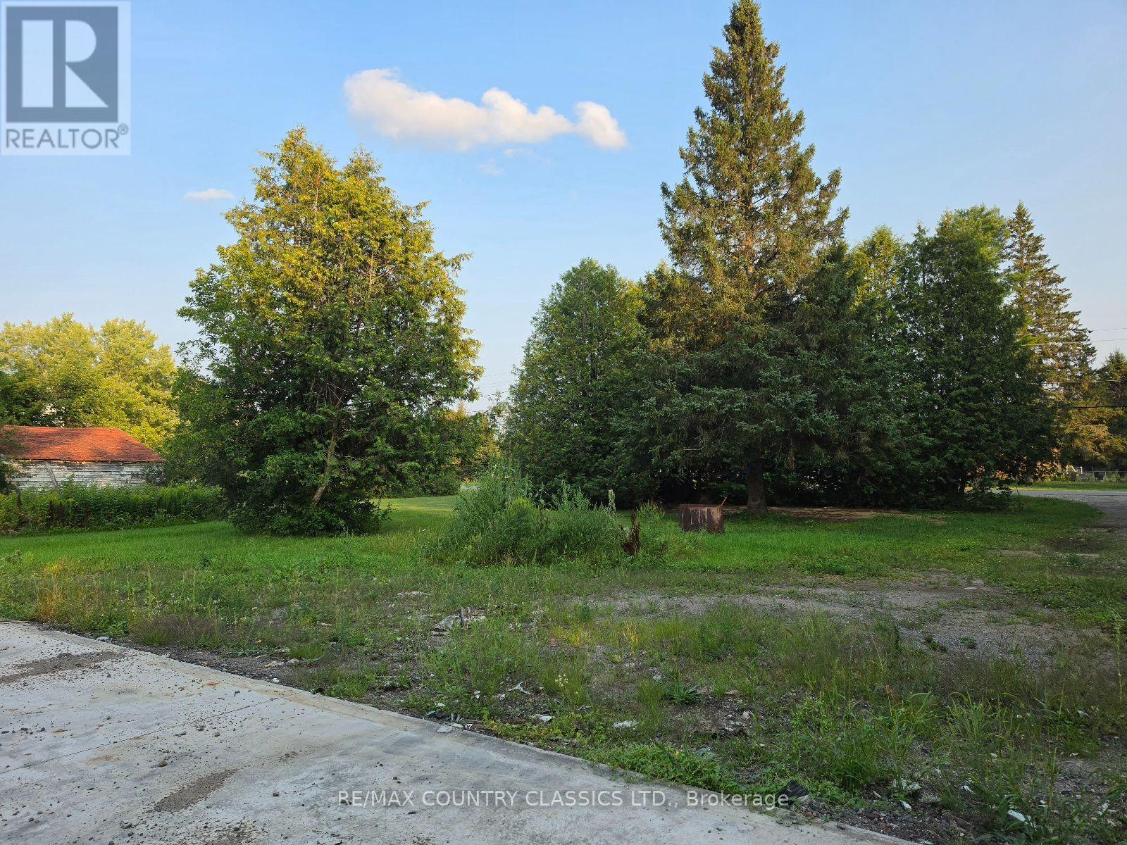 92 Paudash School Road, Faraday, Ontario  K0L 1C0 - Photo 5 - X13658896