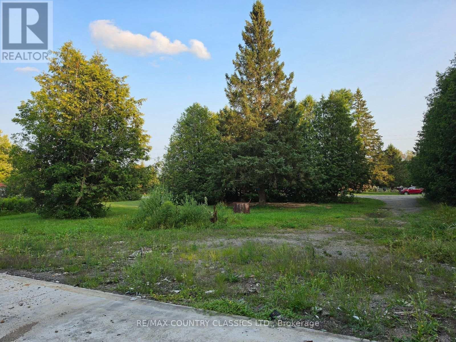 92 Paudash School Road, Faraday, Ontario  K0L 1C0 - Photo 3 - X13658896