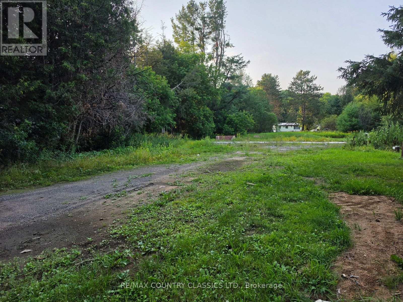 92 Paudash School Road, Faraday, Ontario  K0L 1C0 - Photo 8 - X13658896
