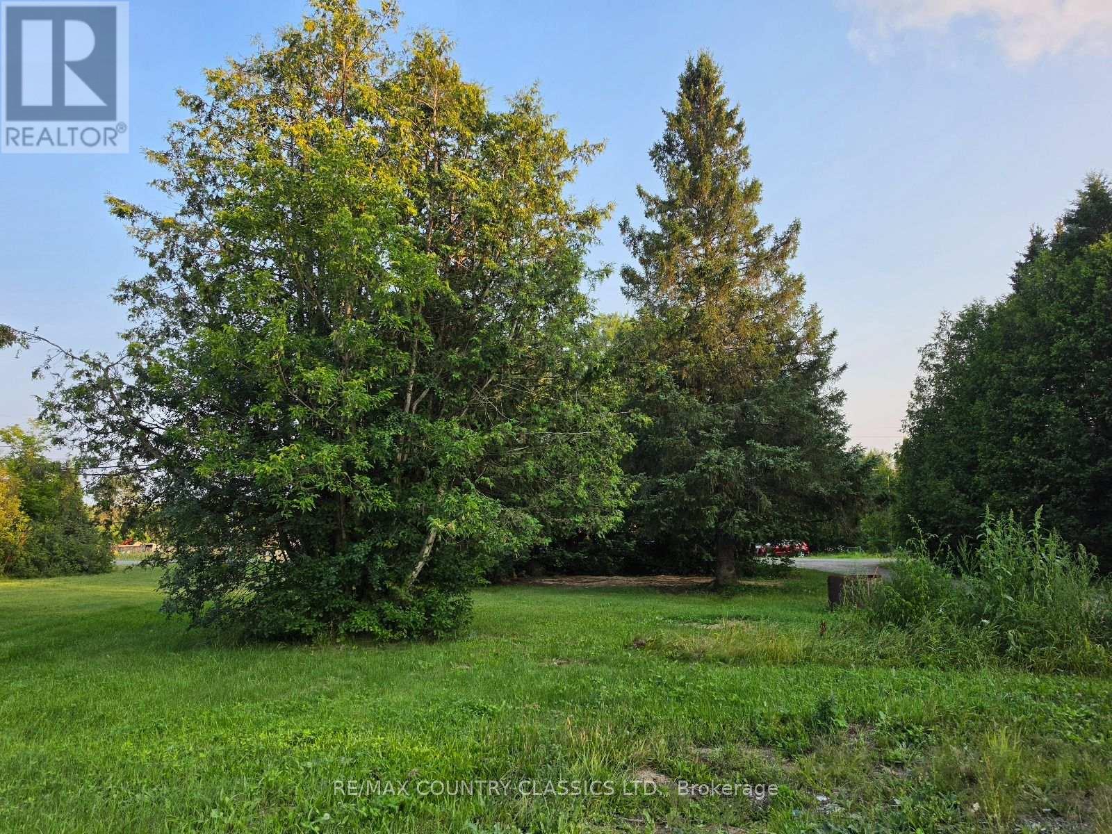 92 Paudash School Road, Faraday, Ontario  K0L 1C0 - Photo 4 - X13658896