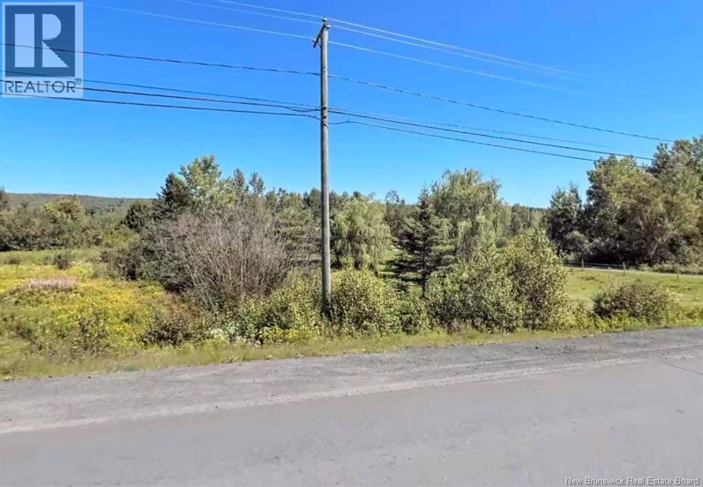 Lot Route 104, Zealand, New Brunswick  E6L 2H7 - Photo 3 - NB145820