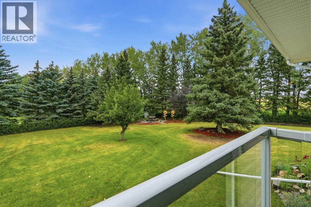 picture 32