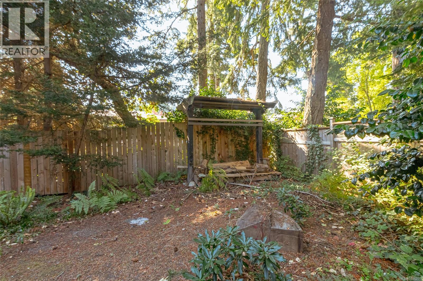 2680 Arbutus Rd, Saanich, British Columbia  V8N 1W6 - Photo 64 - 1046250