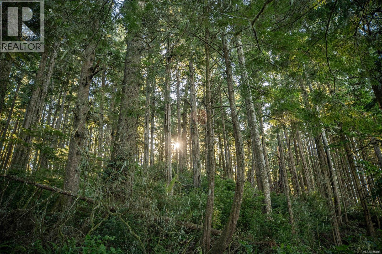 0 Francis Island, Ucluelet, British Columbia  V0R 3A0 - Photo 28 - 955496