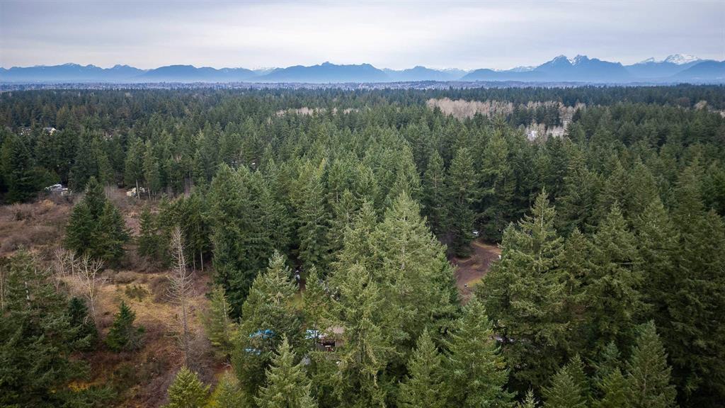 20108 32 Avenue, Langley, British Columbia  V2Z 2E1 - Photo 3 - R3153667