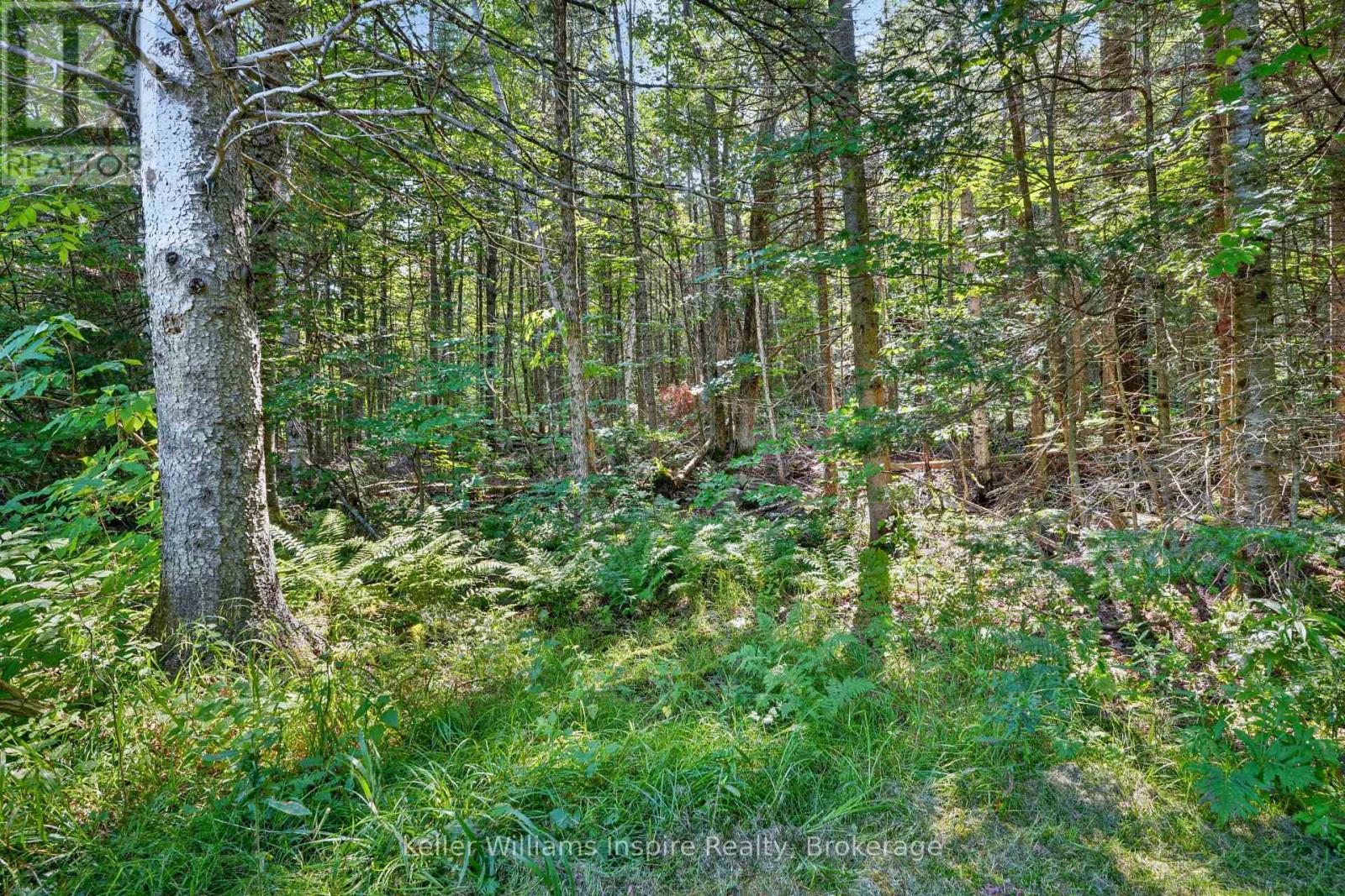 3044 Loop Road, Highlands East, Ontario  K0L 3C0 - Photo 20 - X13669804