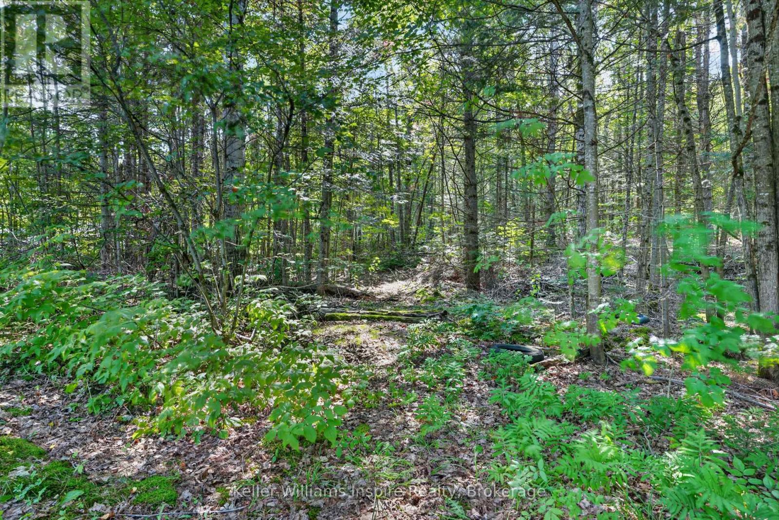 3044 Loop Road, Highlands East, Ontario  K0L 3C0 - Photo 21 - X13669804