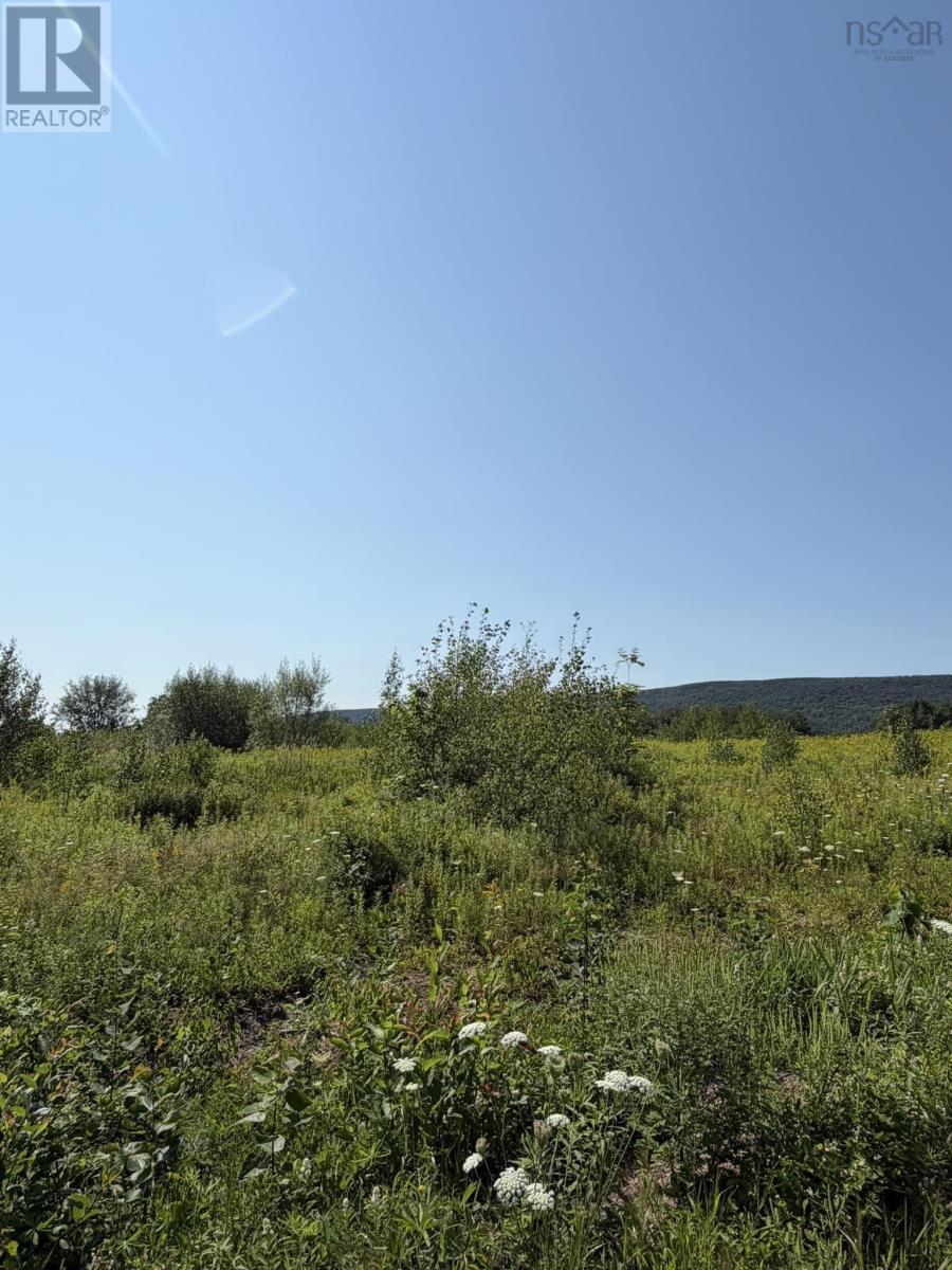 Lot 26-2 Balcom Road, Clarence, Nova Scotia  B0S 1R0 - Photo 7 - 202609902
