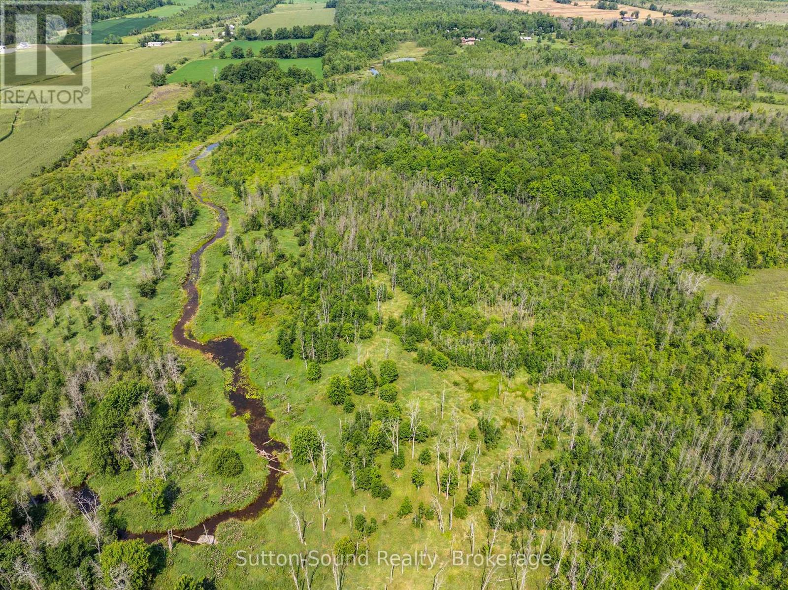 Lot 34 Dawson Road, Georgian Bluffs, Ontario N0H 1S0 - Photo 10 - X13670138