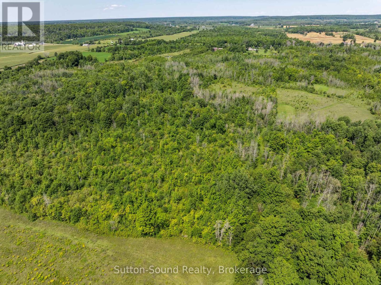 Lot 34 Dawson Road, Georgian Bluffs, Ontario N0H 1S0 - Photo 9 - X13670138