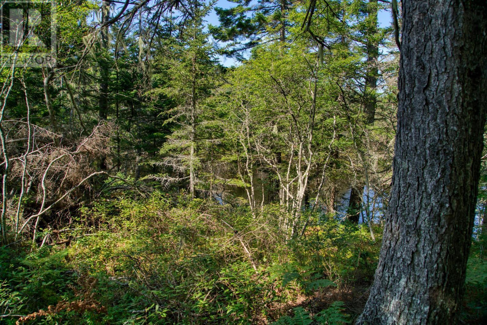 Lot 5 Cooks Brook, Bayport, Nova Scotia  B0J 2C0 - Photo 27 - 202601189