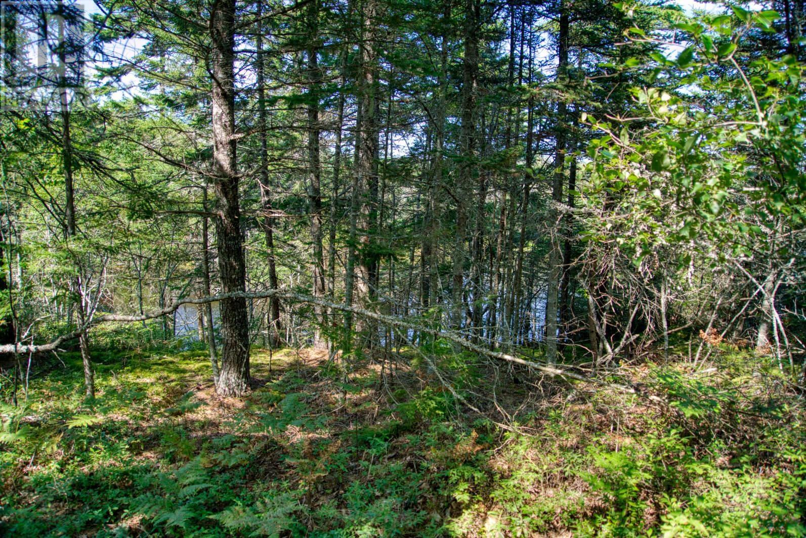 Lot 5 Cooks Brook, Bayport, Nova Scotia  B0J 2C0 - Photo 22 - 202601189