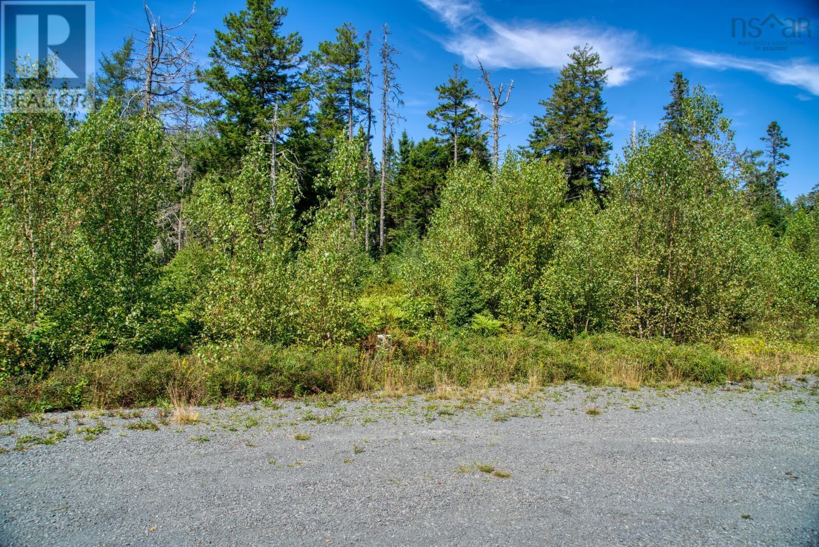 Lot 5 Cooks Brook, Bayport, Nova Scotia  B0J 2C0 - Photo 3 - 202601189