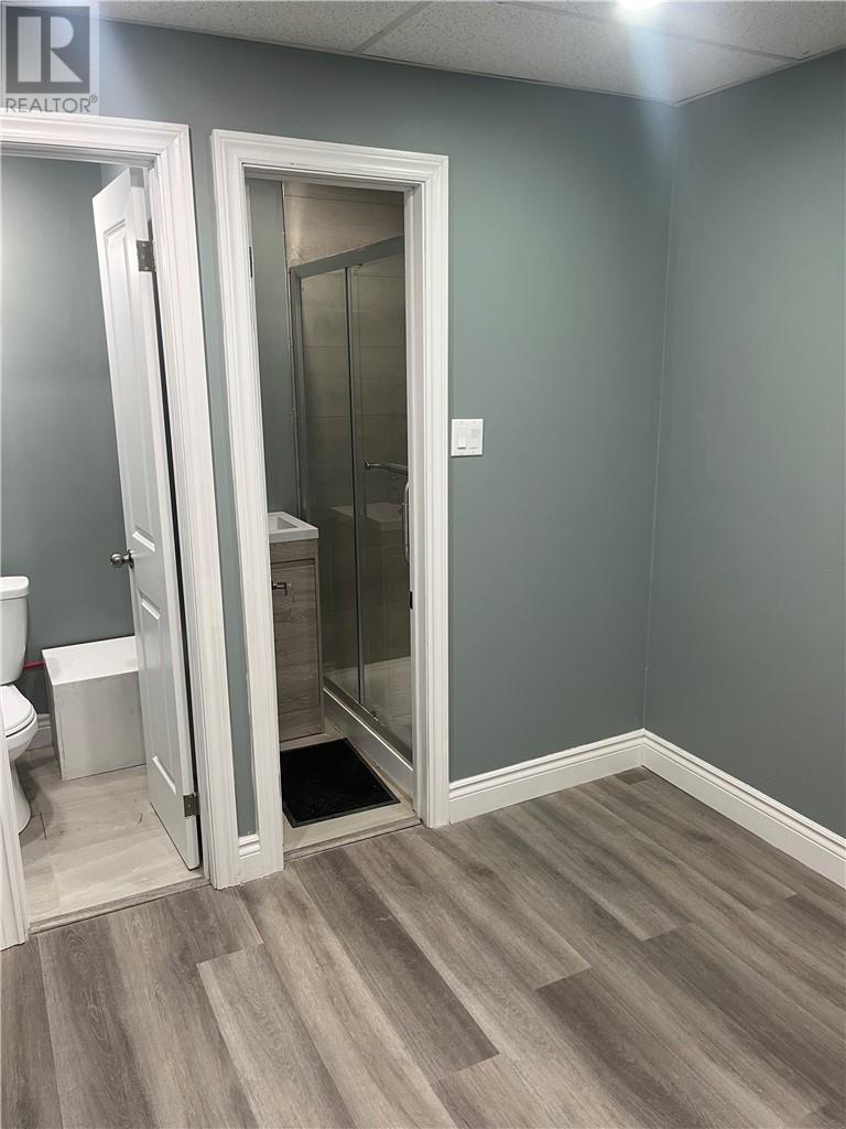 336 Riverside, Sudbury, Ontario  P3E 1H7 - Photo 18 - 2129729