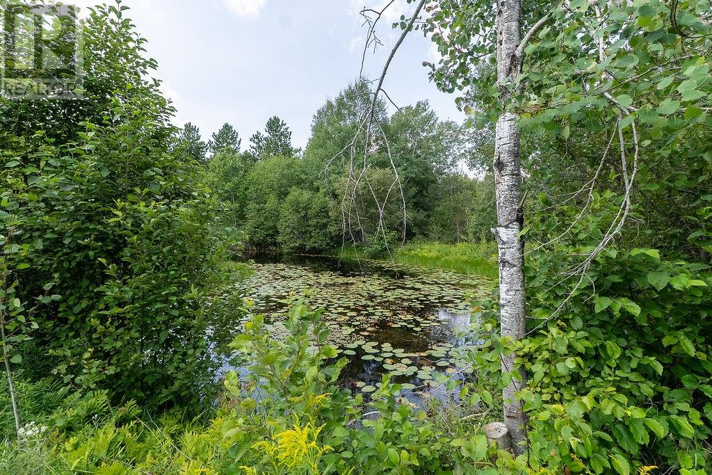 4070 Lammi's Road, Greater Sudbury, Ontario  P3G 1H3 - Photo 49 - 2129627
