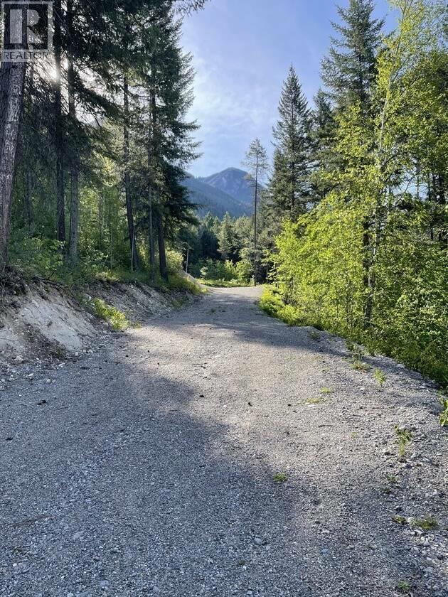 893 Crandall Road, Golden, British Columbia  V0A 1H2 - Photo 4 - 10389096